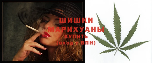 apvp Белокуриха