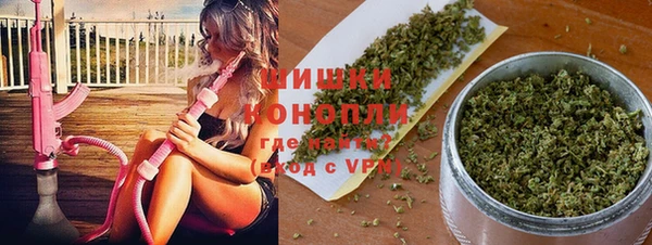 дживик Беломорск