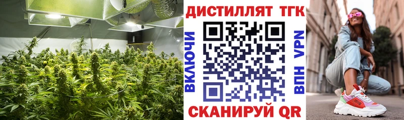 ОМГ ОМГ онион  Кузнецк  ТГК жижа 