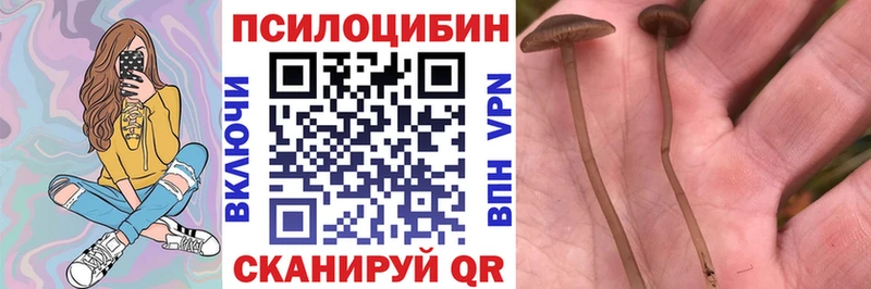 Псилоцибиновые грибы ЛСД  Кузнецк 
