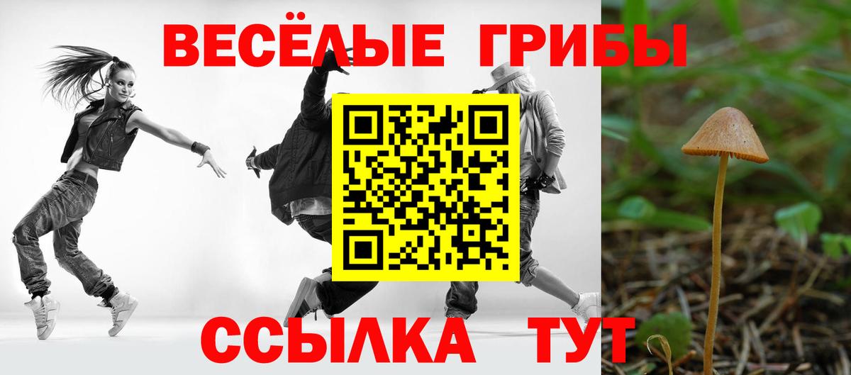 Кузнецк  Псилоцибиновые грибы ЛСД  Вход с VPN  Галлюциногенные грибы прущие грибы 