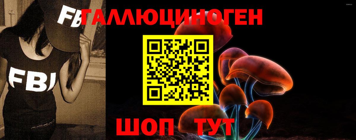 Галлюциногенные грибы MAGIC MUSHROOMS Кузнецк